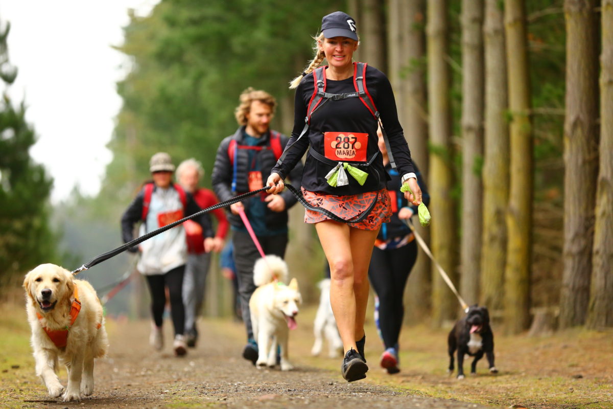 dogs running in marathon with owner