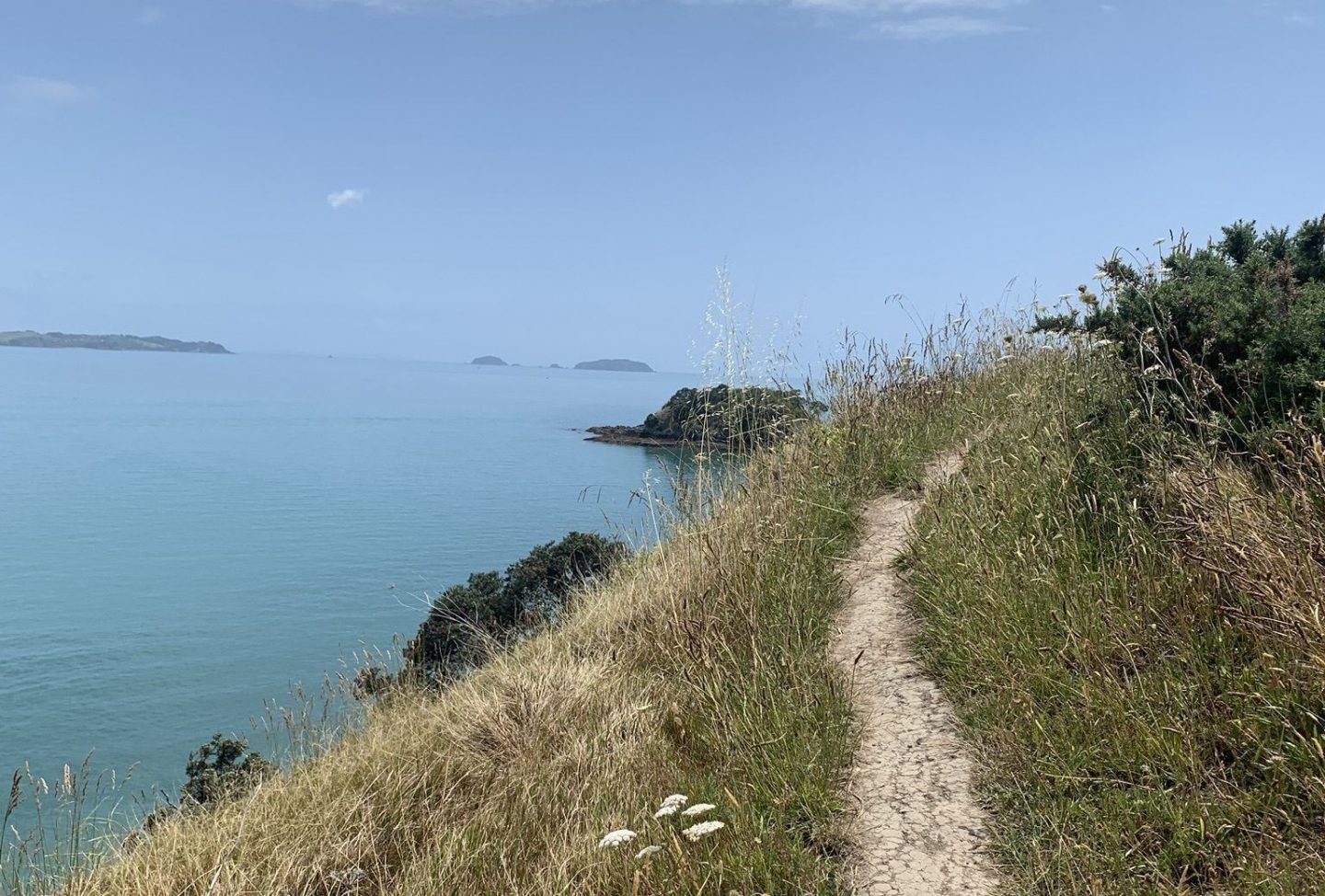 waiheke island short walk