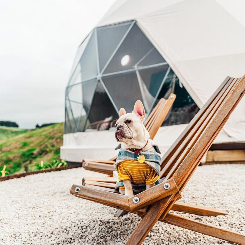 Escape to Taupo - Glamping with your dog