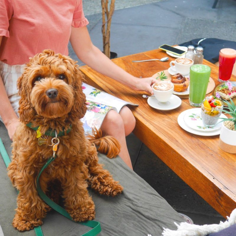 Get comfy in Taupo's hidden health cafe - The Cozy Corner