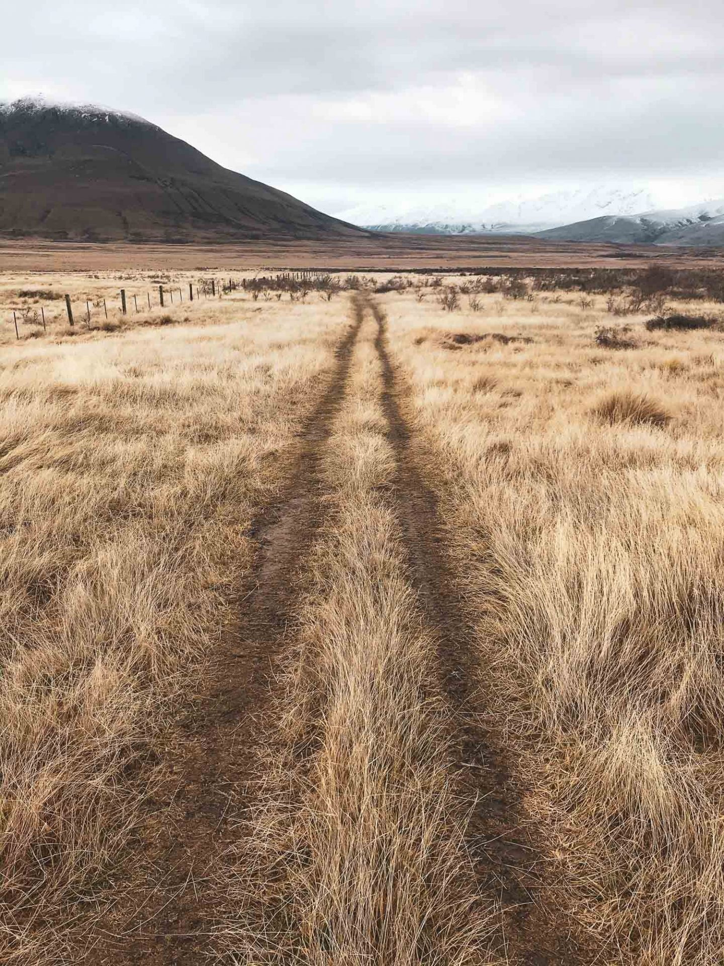 3 dog friendly hikes to explore in Canterbury