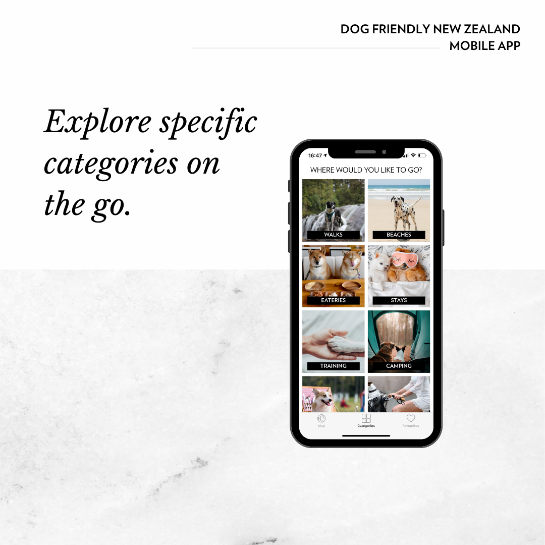 dog friendly new zealand app